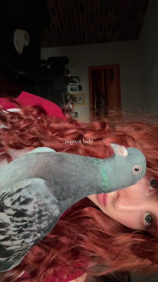Post 2 by May Renner on TikTok (video)