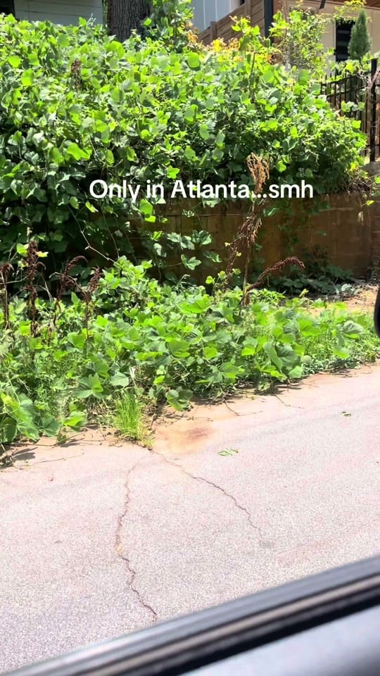 Post 6 by Guywasright on TikTok (video)