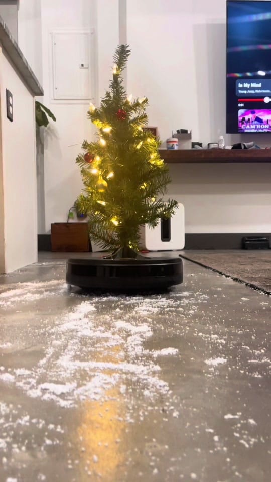 Post 8 by Guywasright on TikTok (video)