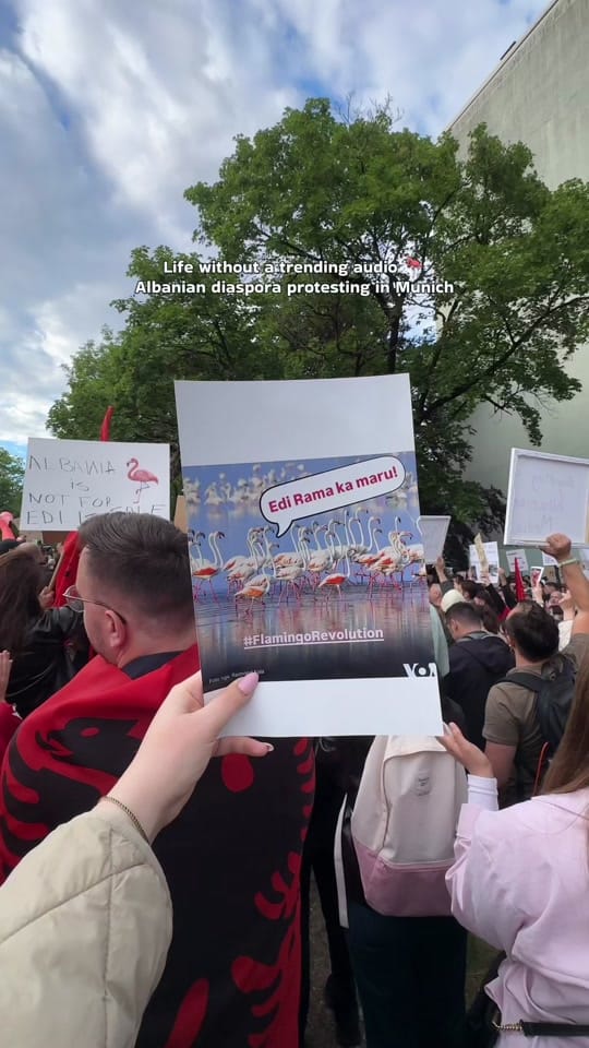 Post 4 by Greta | 🇦🇱 in 🇩🇪 on TikTok (video)