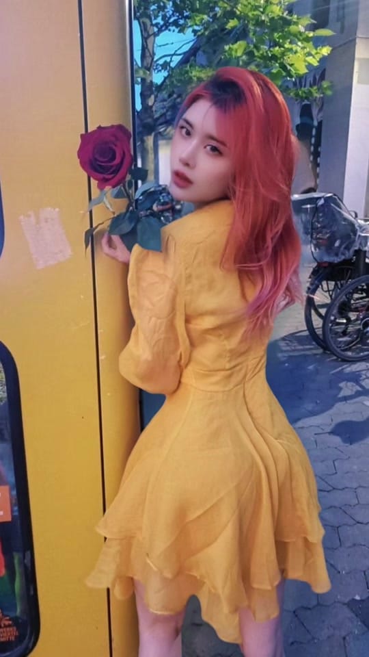 Post 4 by 🍀Minh Thu 🇻🇳 🇩🇪 on TikTok (video)