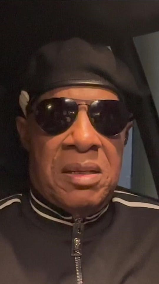 Post 10 by Stevie Wonder on TikTok (video)
