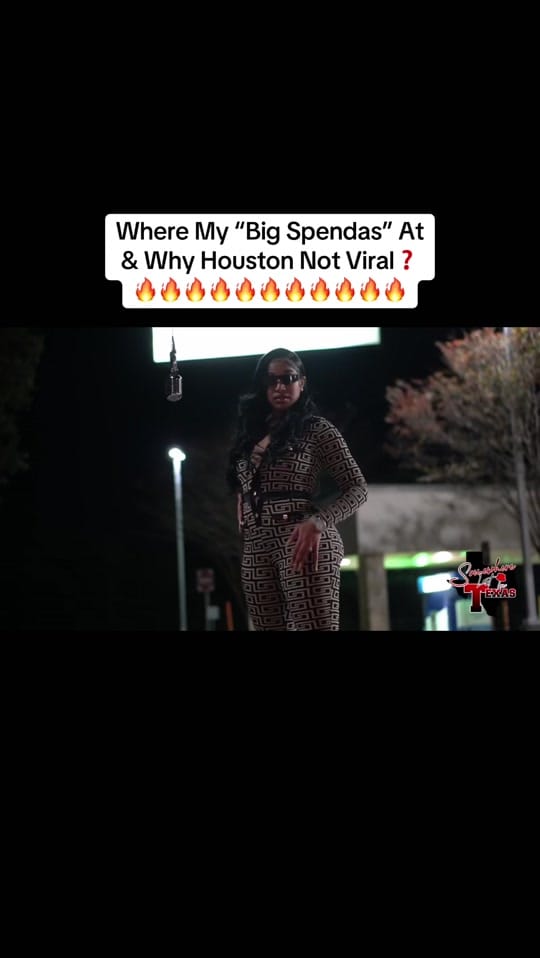 Post 8 by _shesohouston on TikTok (video)