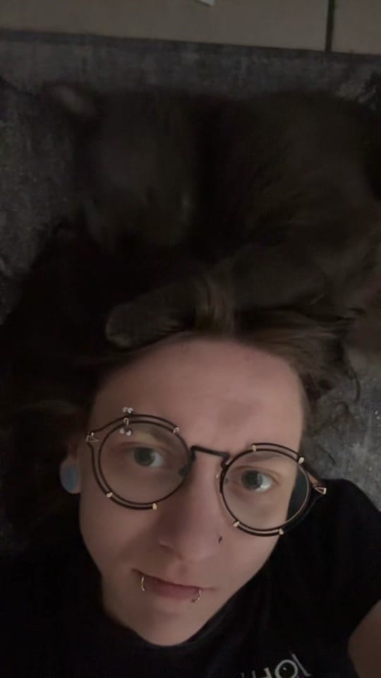 Post 8 by pj on TikTok (video)