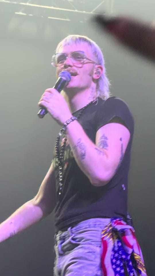Post 4 by Megan Singer on TikTok (video)