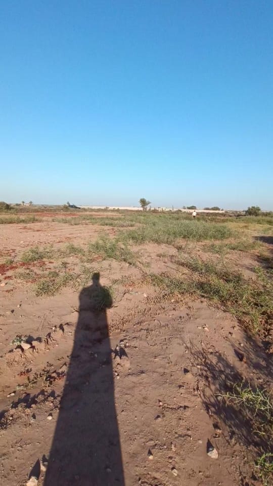 Post 6 by Essen Lux on TikTok (video)