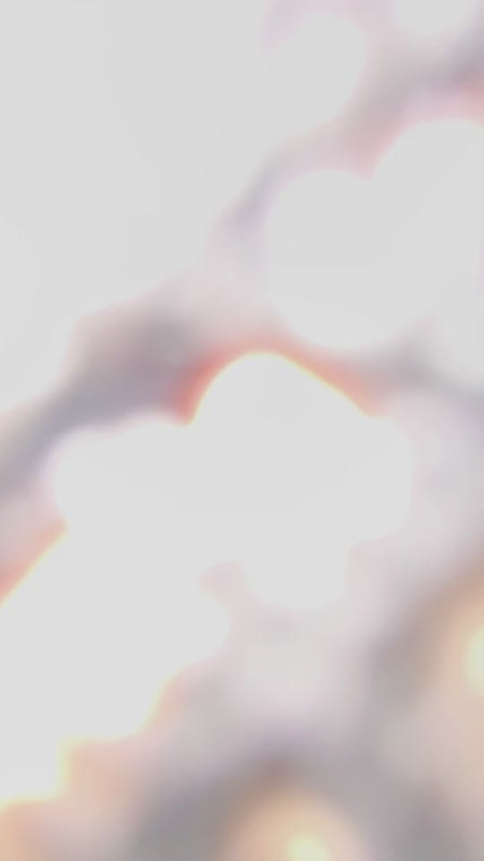 Post 6 by Christy on TikTok (video)