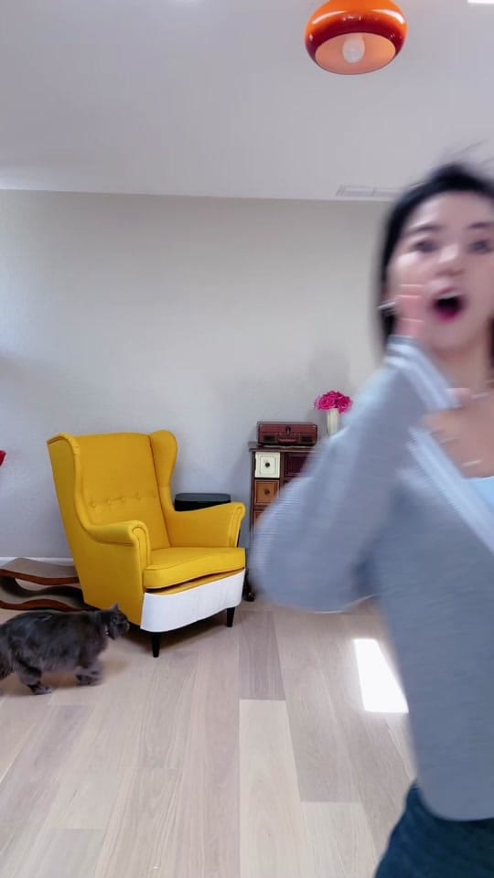Post 8 by 米雷-RayDog on TikTok (video)