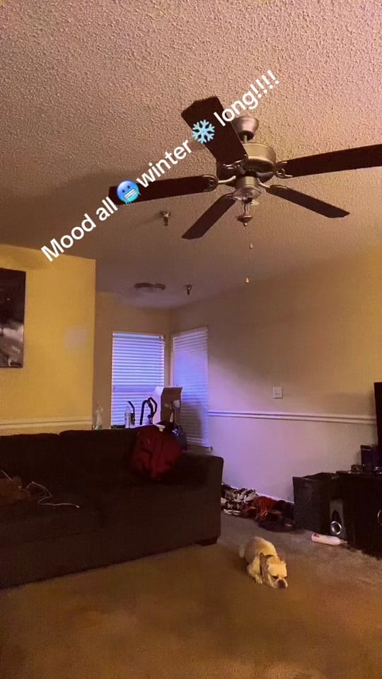 Post 5 by Twerkgodq on TikTok (video)