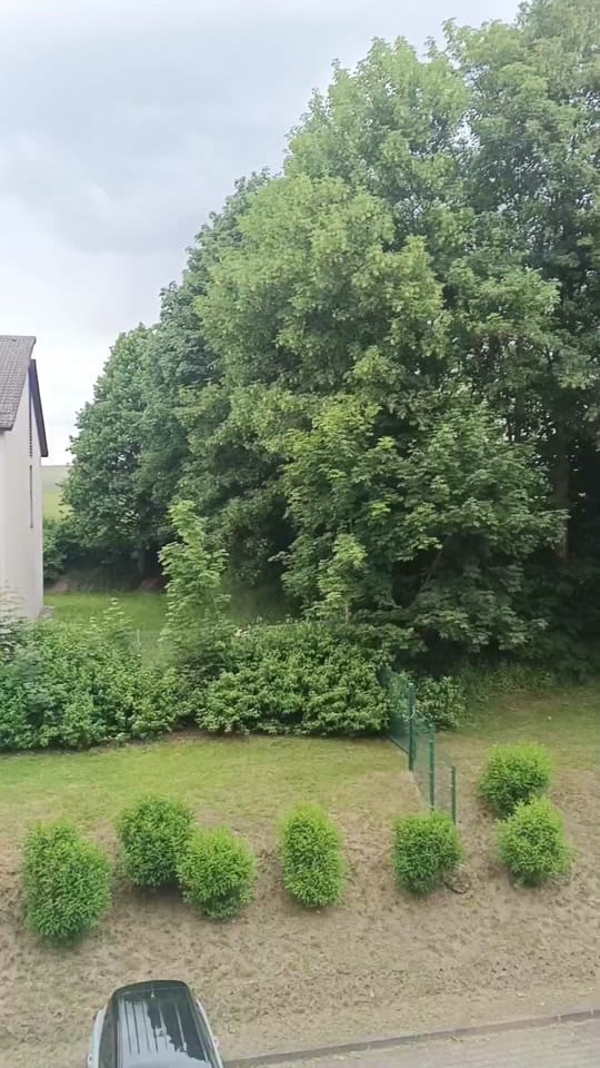 Post 3 by Sabs German Journey on TikTok (video)