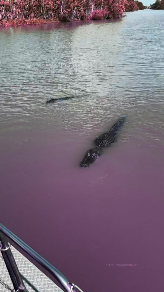 Post 9 by hapicomet on TikTok (video)