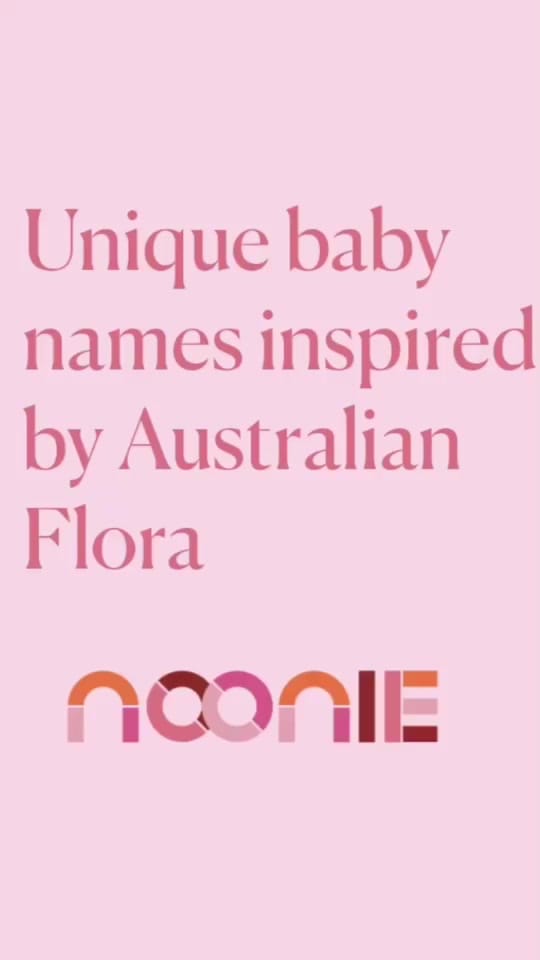 Post 3 by noonie on TikTok (video)