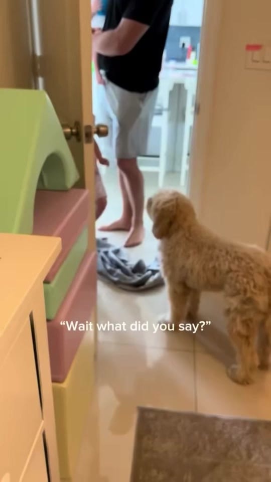 Post 7 by SnackDealerMom on TikTok (video)