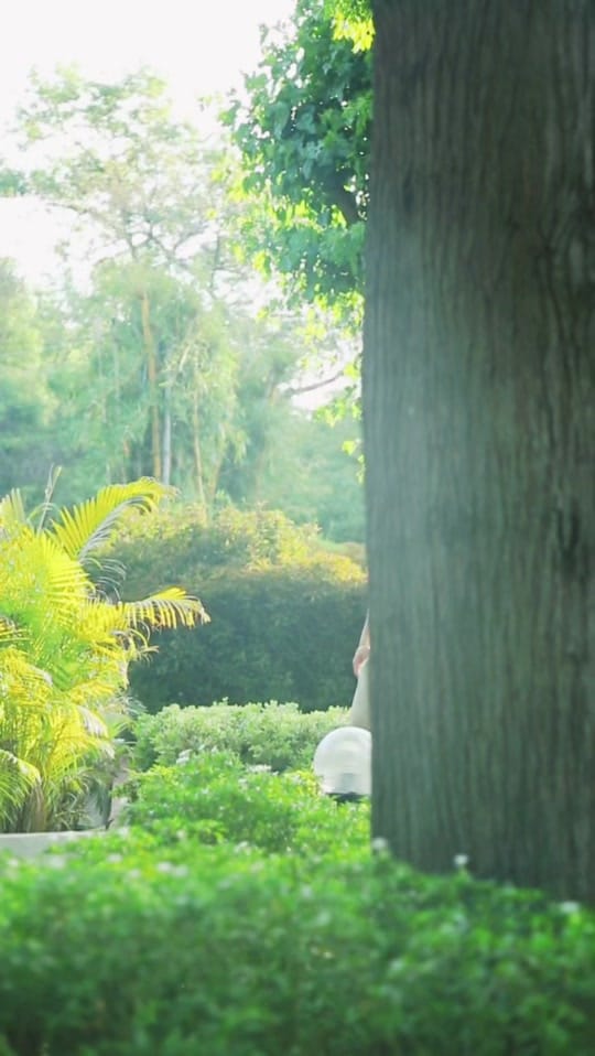 Post 8 by MjrGrewal on TikTok (video)