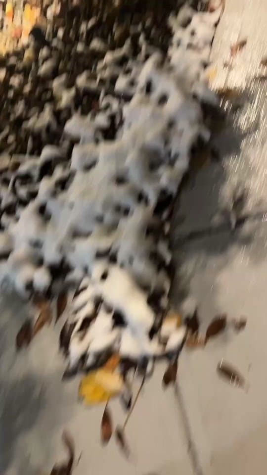 Post 6 by MjrGrewal on TikTok (video)
