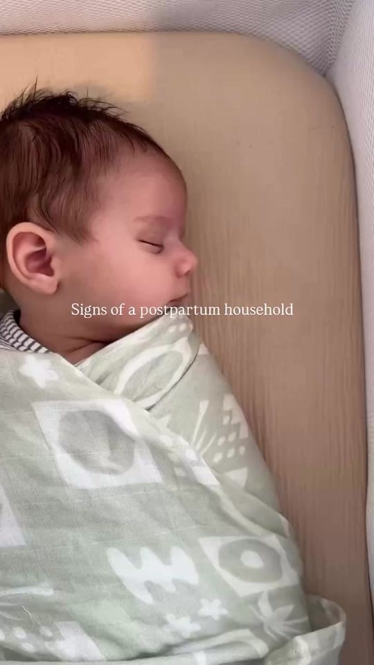 Post 10 by Viva La Vulva on TikTok (video)