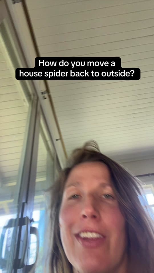 Post 9 by Kat🤠🖖 on TikTok (video)