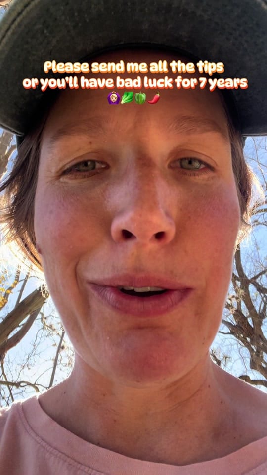 Post 5 by Kat🤠🖖 on TikTok (video)