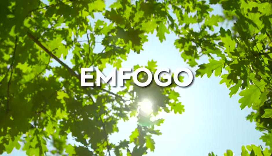 Post 4 by EMFOGO on TikTok (video)