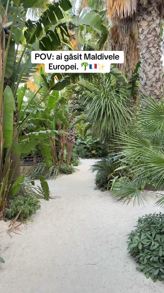 Post 3 by Mihaela_Cristina_Lacatis on TikTok (video)