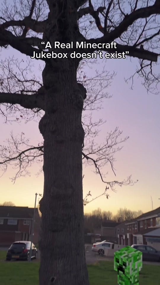 Post 1 by Juke Blox on TikTok (video)