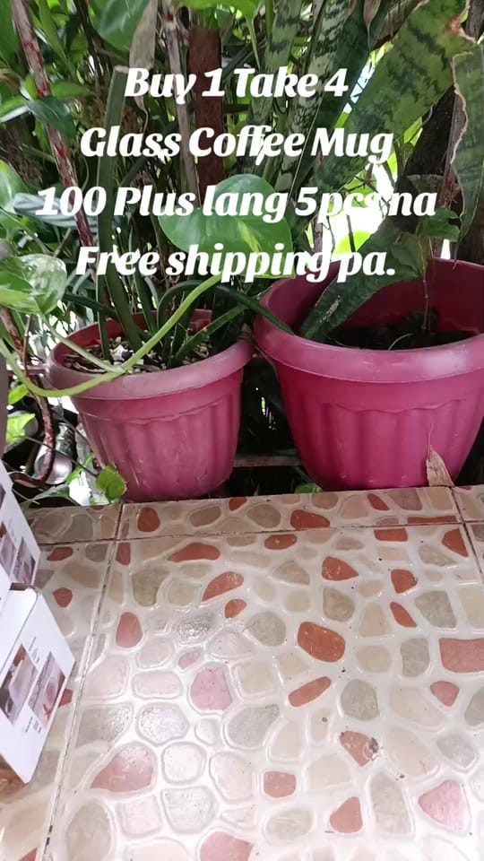 Post 5 by Gracias 777 on TikTok (video)