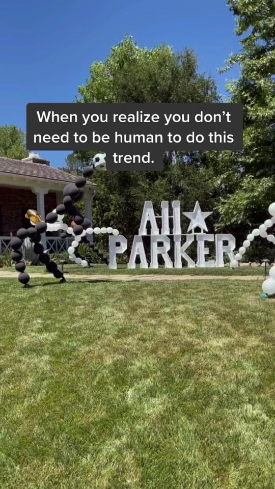 Post 8 by Balloon & Paper on TikTok (video)