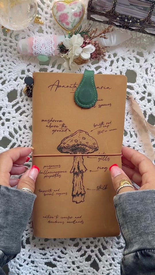 Post 1 by amillennialsjournal on TikTok (video)