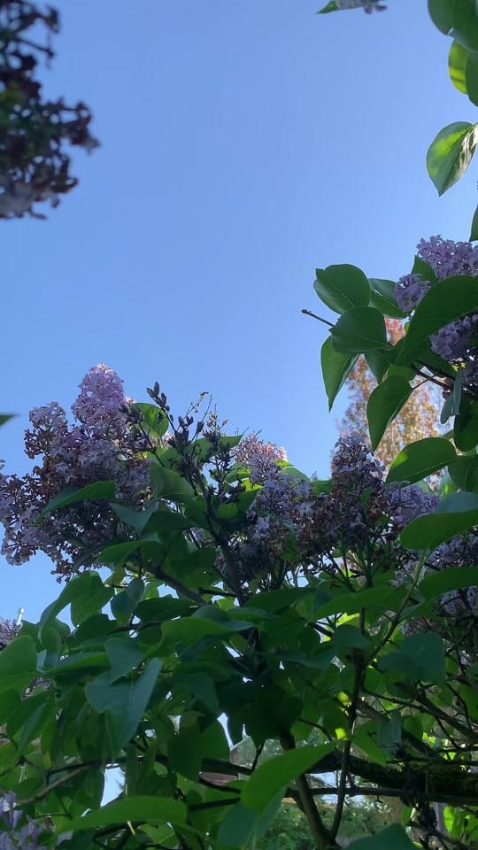 Post 6 by Alex on TikTok (video)