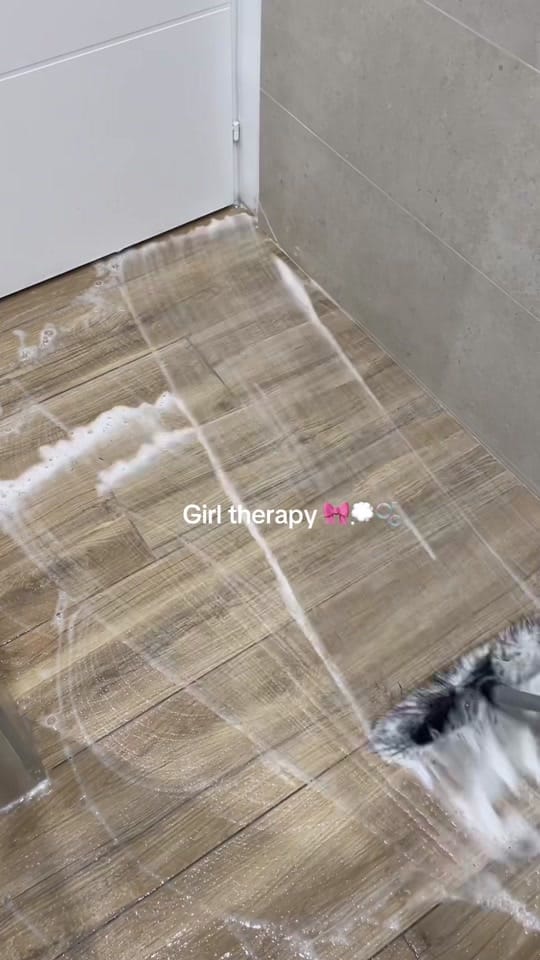 Post 9 by cleanwithnjo🎀 on TikTok (video)