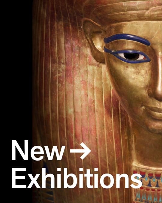 Post 7 by deyoungmuseum on TikTok (video)