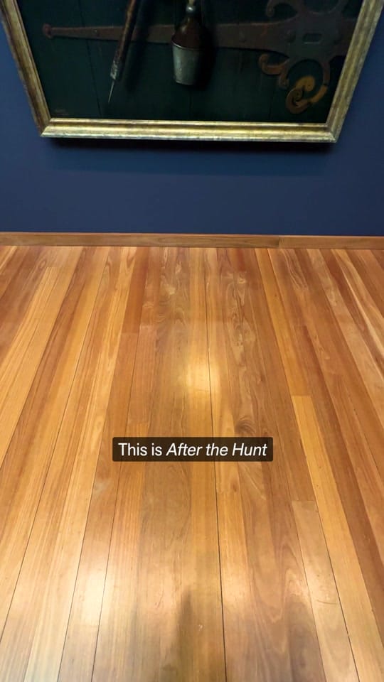 Post 8 by deyoungmuseum on TikTok (video)