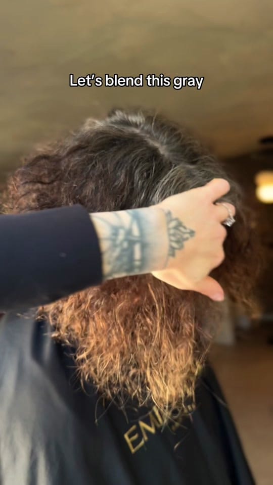 Post 6 by EmilyAnna_HairArtistry on TikTok (video)