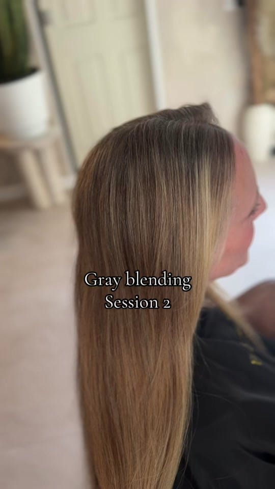 Post 3 by EmilyAnna_HairArtistry on TikTok (video)