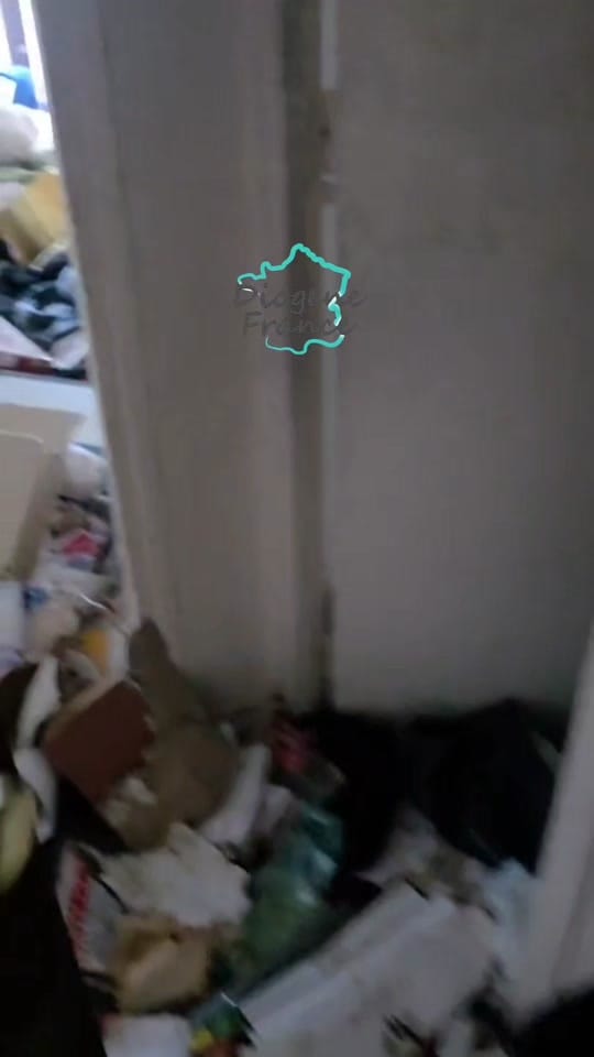 Post 6 by Diogene_France on TikTok (video)