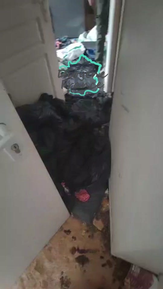 Post 7 by Diogene_France on TikTok (video)