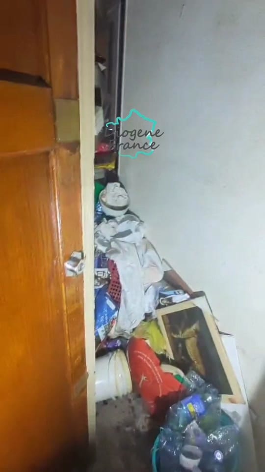 Post 5 by Diogene_France on TikTok (video)