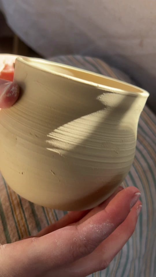 Post 3 by Liz Nelson on TikTok (video)