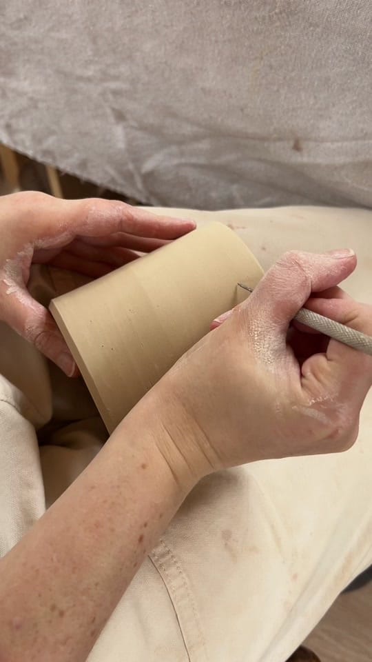 Post 7 by Liz Nelson on TikTok (video)