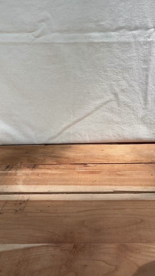 Post 2 by Liz Nelson on TikTok (video)
