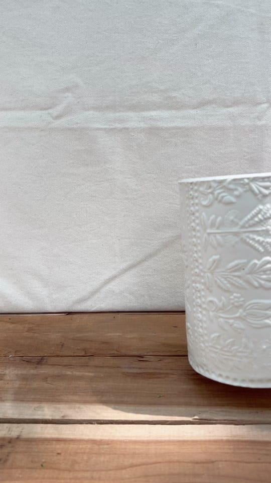 Post 1 by Liz Nelson on TikTok (video)