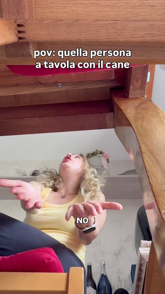 Post 1 by virginiasidoti on TikTok (video)