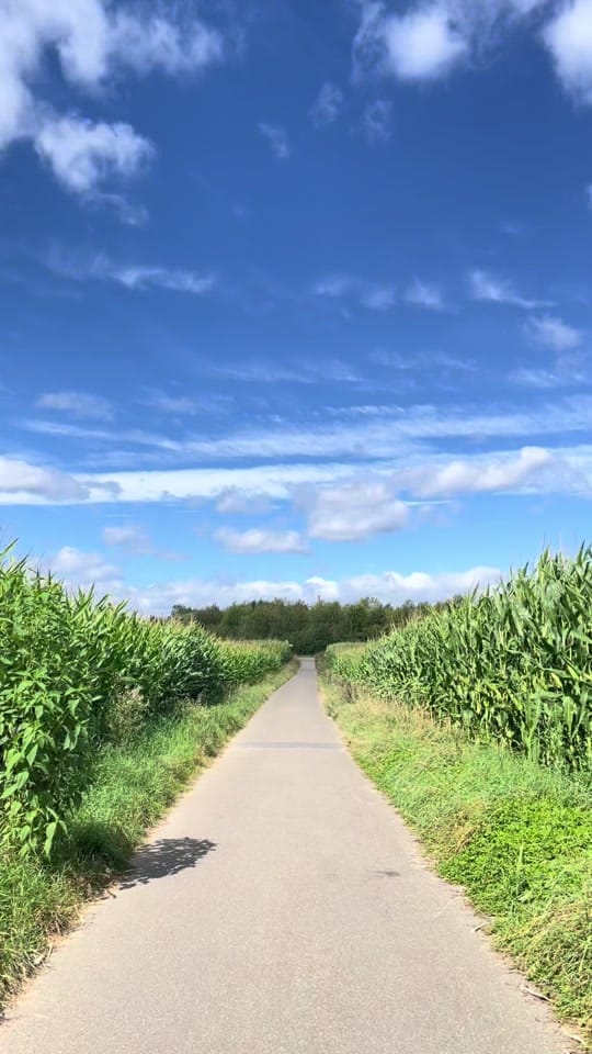 Post 5 by Anastasia on TikTok (video)