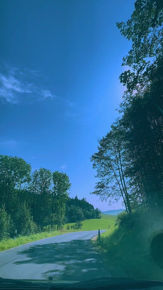 Post 7 by Anastasia on TikTok (video)