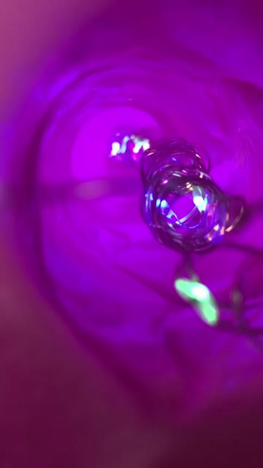 Post 9 by Paige✨ on TikTok (video)