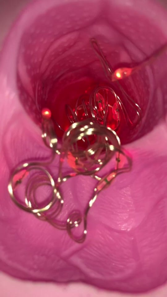 Post 10 by Paige✨ on TikTok (video)