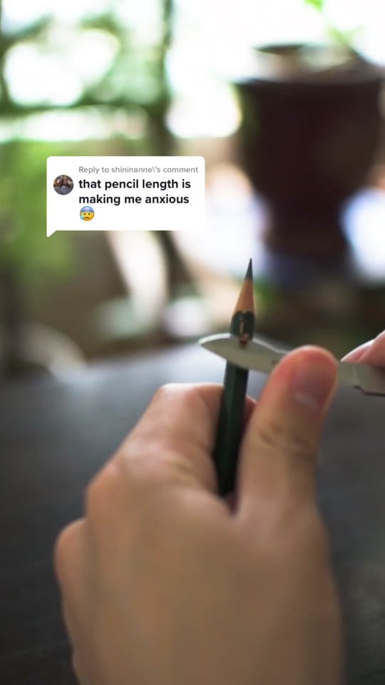 Post 9 by Richard Liu on TikTok (video)