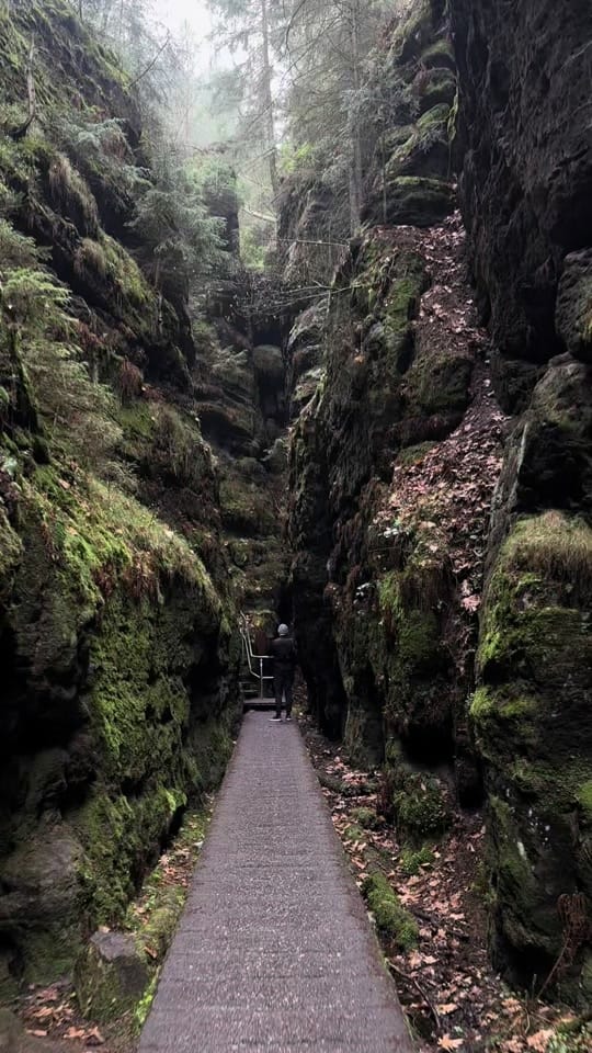 Post 7 by sealburn on TikTok (video)