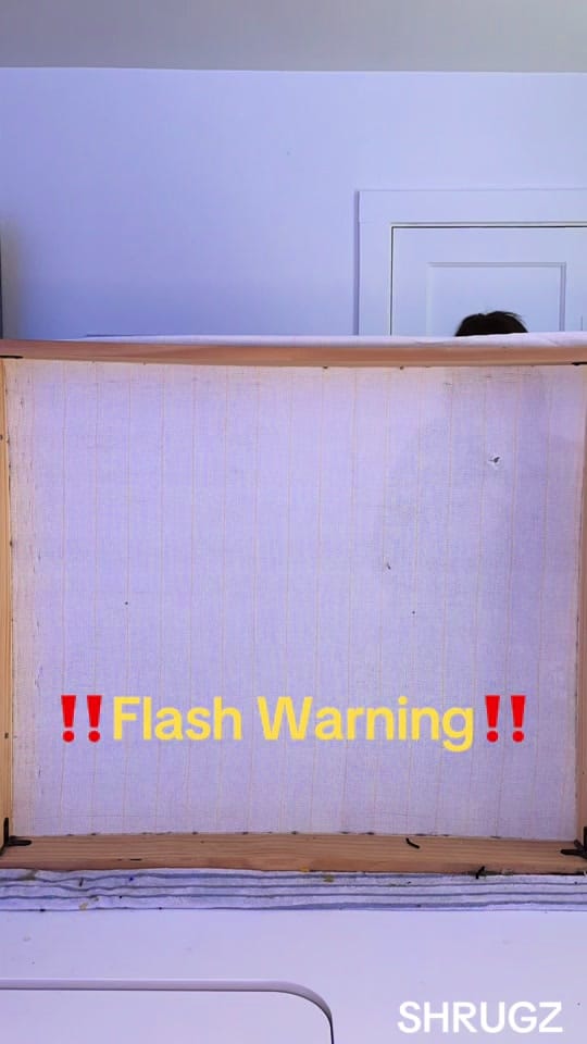 Post 6 by Emily Smith on TikTok (video)