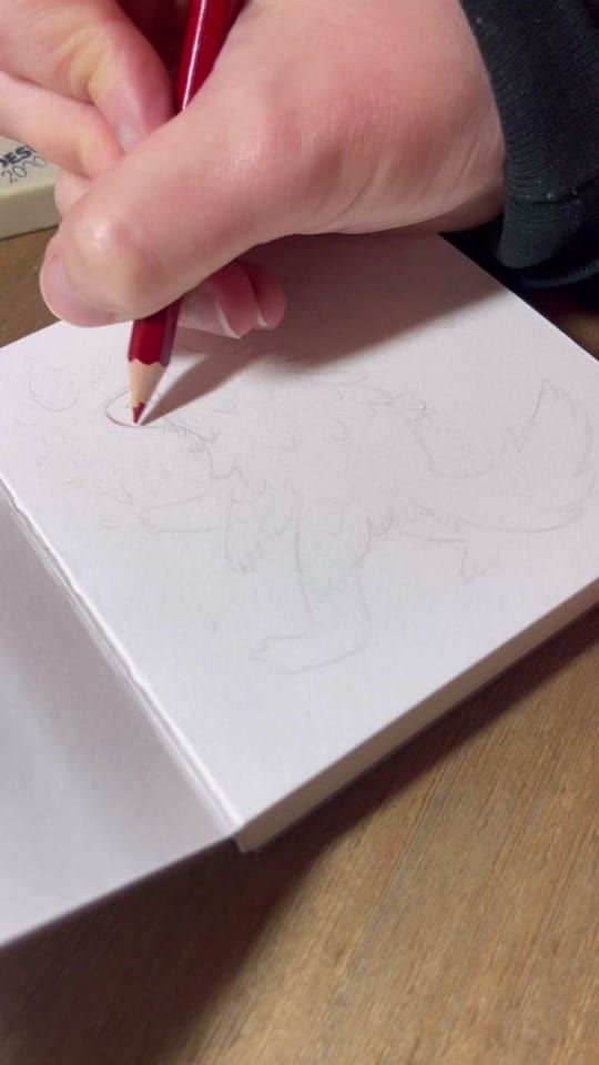 Post 5 by Faunwood on TikTok (video)